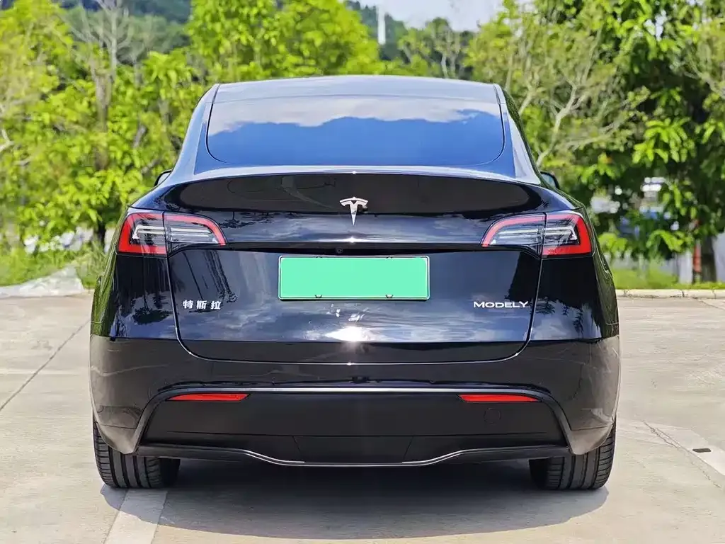 Tesla Model Y 2022 из CN, фото 6