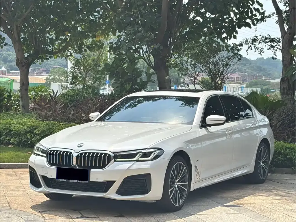 BMW 5 Series 2022 из CN, фото 1