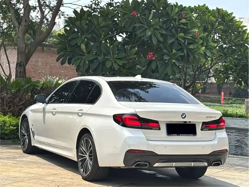 BMW 5 Series 2022 из CN, фото 10