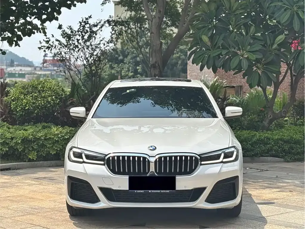 BMW 5 Series 2022 из CN, фото 2