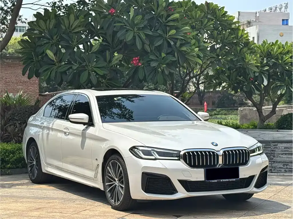 BMW 5 Series 2022 из CN, фото 3