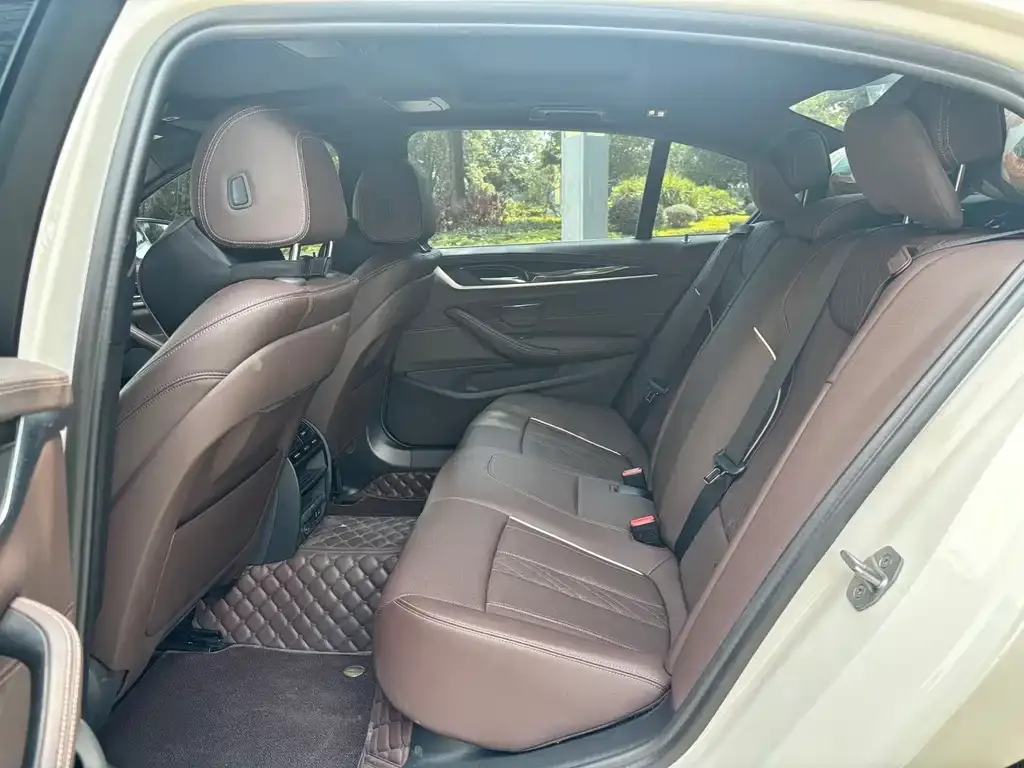 BMW 5 Series 2022 из CN, фото 5