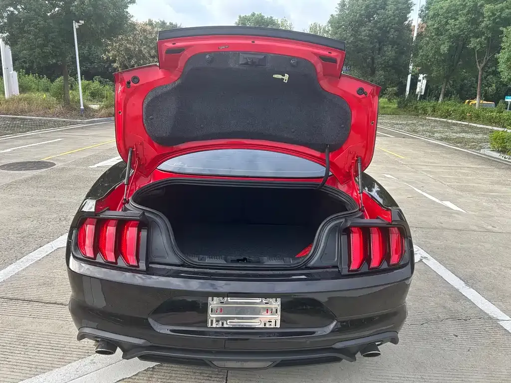 Ford Mustang 2023 из CN, фото 6