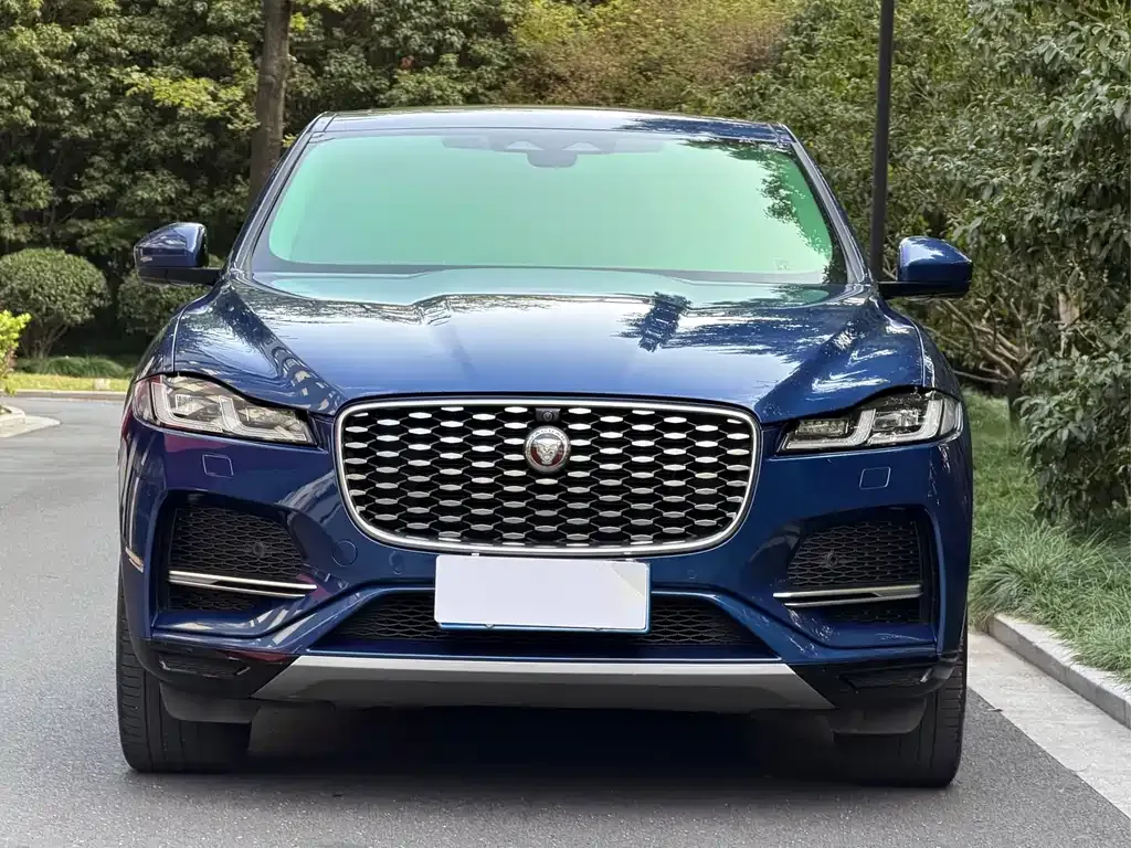 Jaguar F-PACE 2023 из CN, фото 2