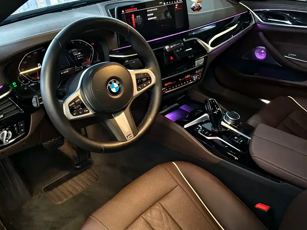 BMW 5 Series 2022 из CN, фото 10
