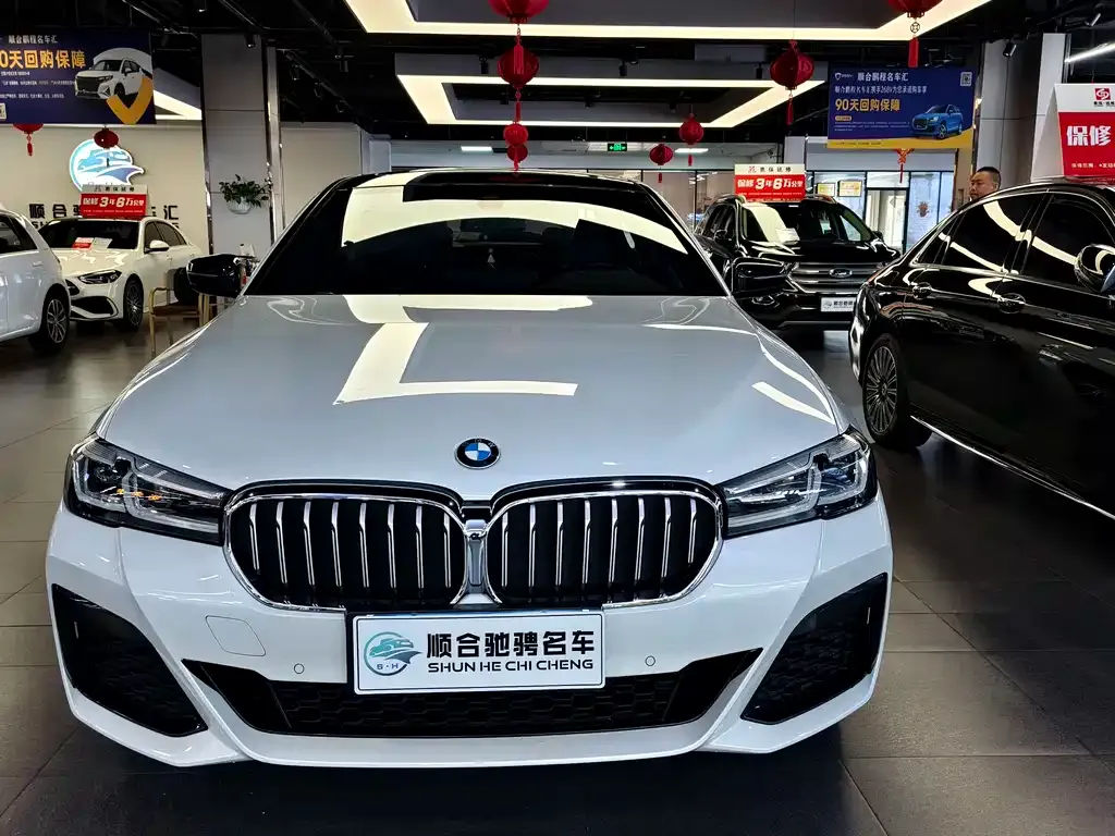 BMW 5 Series 2022 из CN, фото 2
