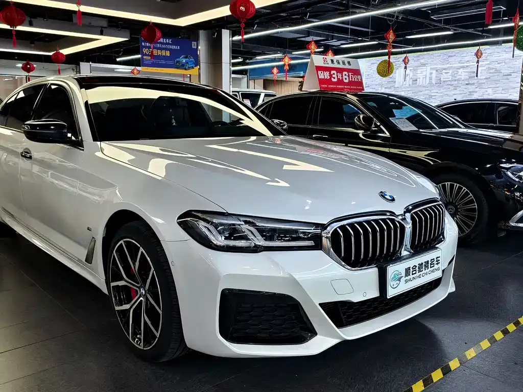BMW 5 Series 2022 из CN, фото 3