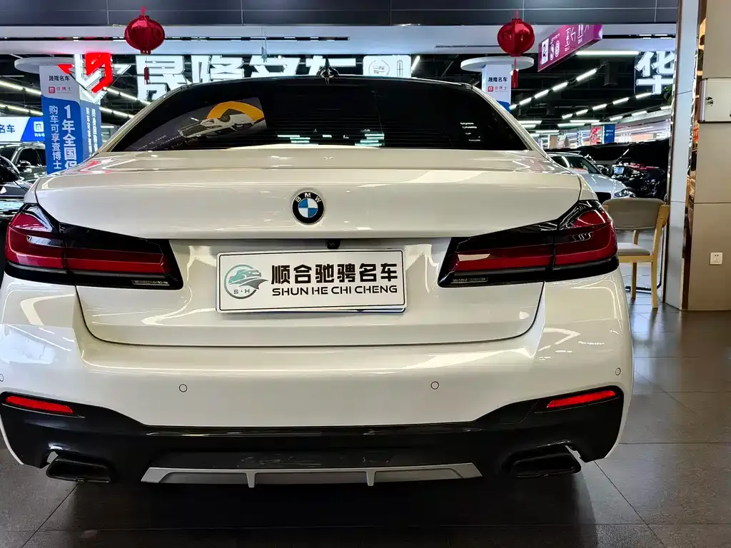 BMW 5 Series 2022 из CN, фото 5