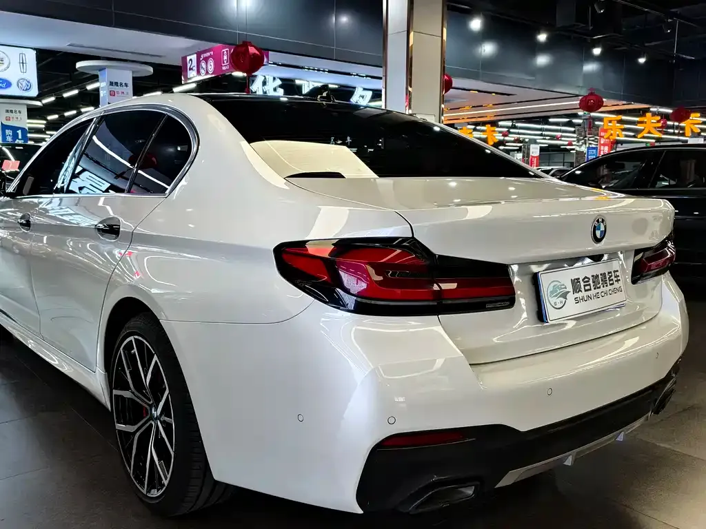 BMW 5 Series 2022 из CN, фото 6