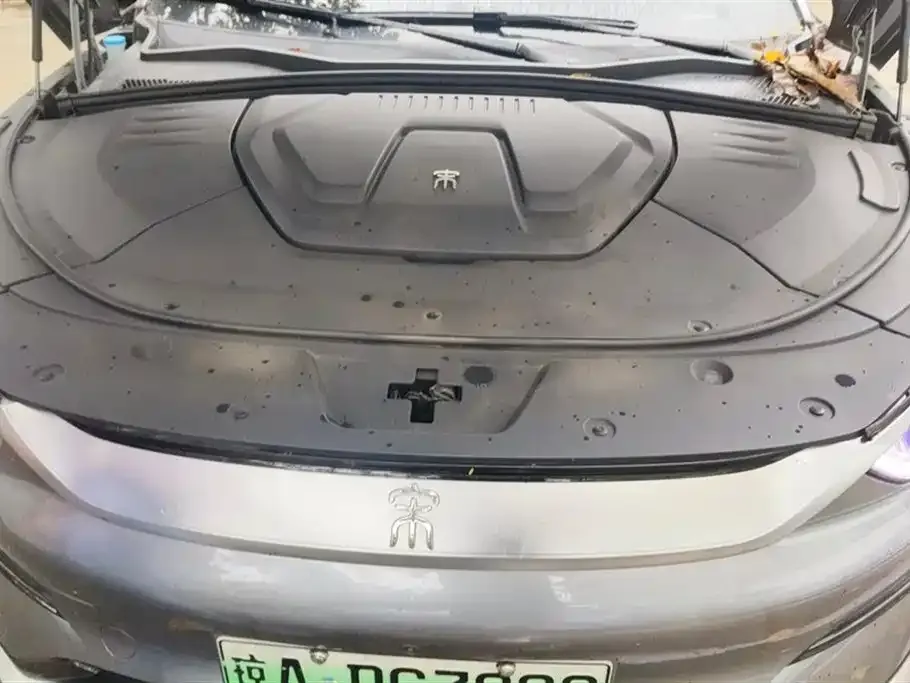 BYD PLUS New Energy 2022 из CN, фото 10