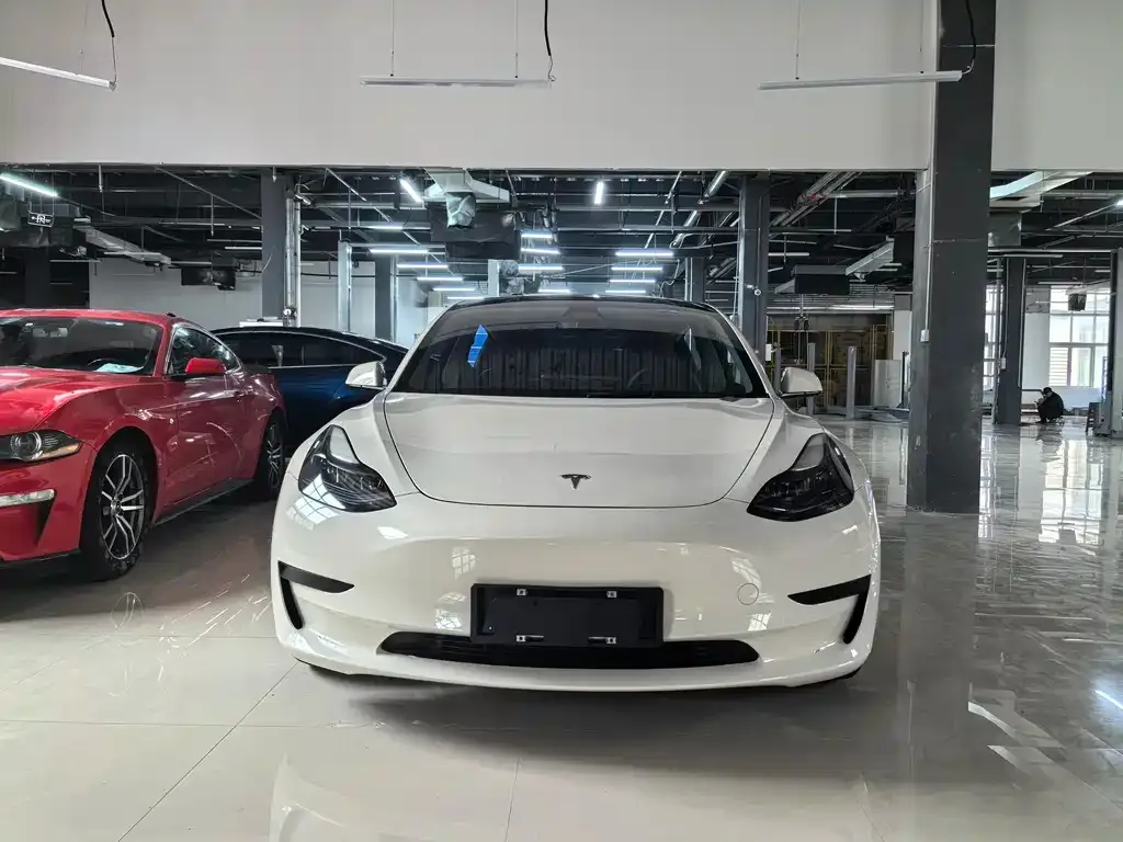 Tesla Model 3 2021 из CN, фото 2