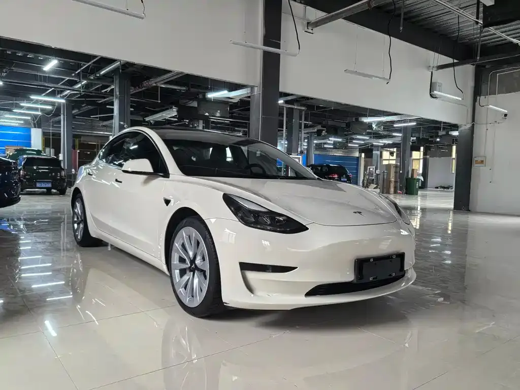 Tesla Model 3 2021 из CN, фото 3