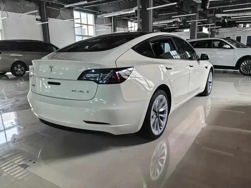 Tesla Model 3 2021 из CN, фото 4