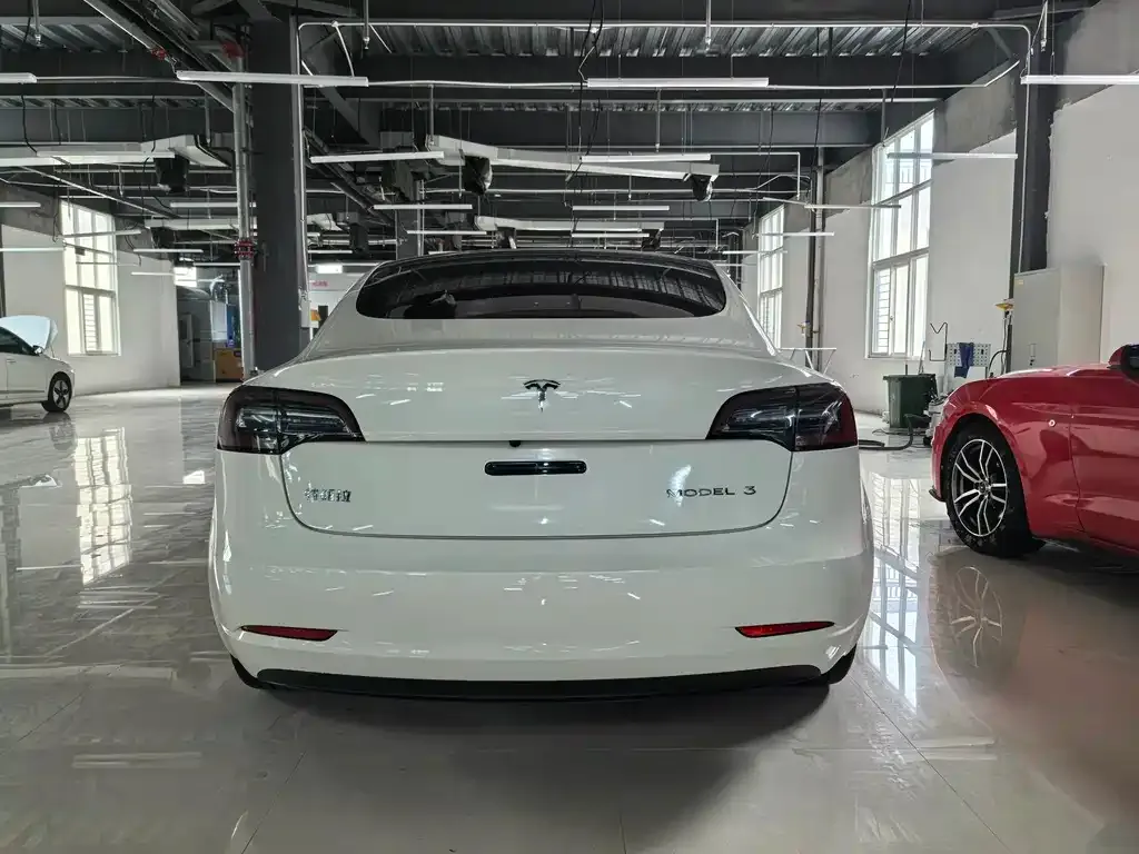 Tesla Model 3 2021 из CN, фото 5