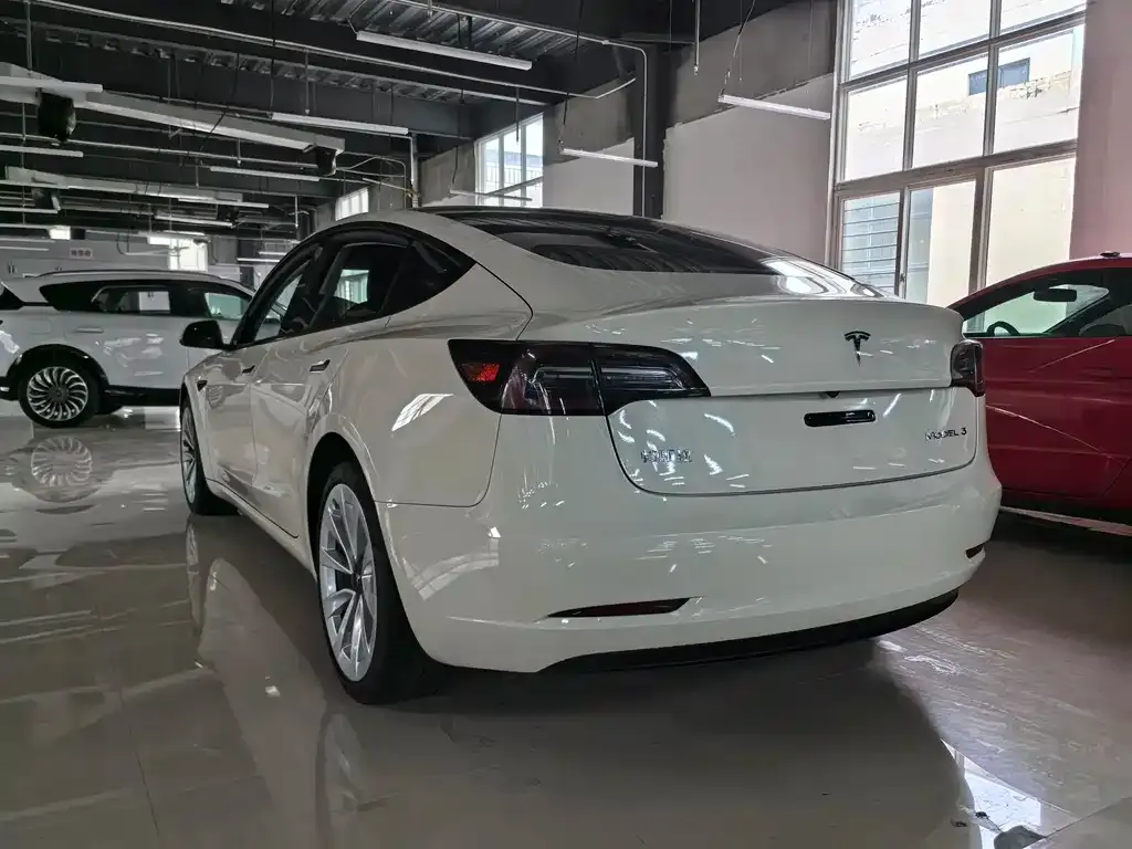 Tesla Model 3 2021 из CN, фото 6