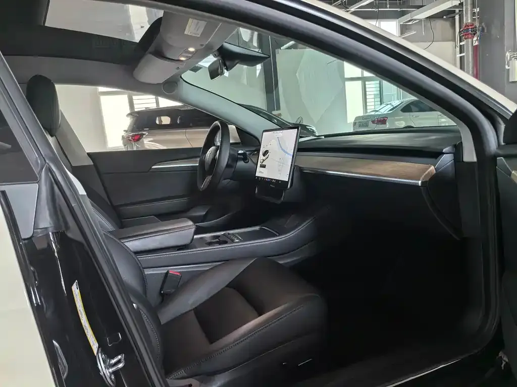 Tesla Model 3 2021 из CN, фото 9