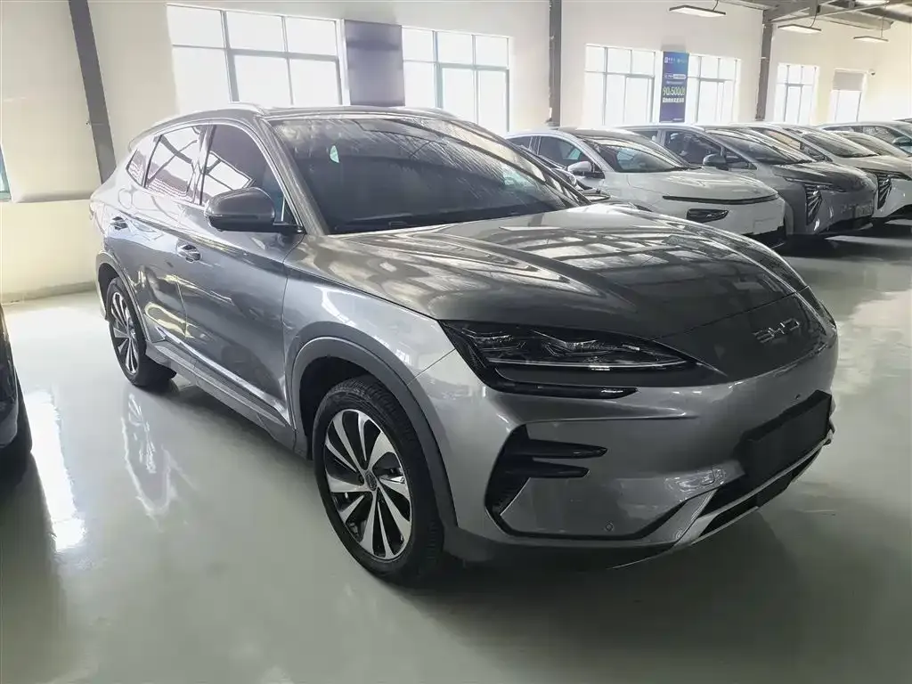 BYD PLUS New Energy 2023 из CN, фото 4
