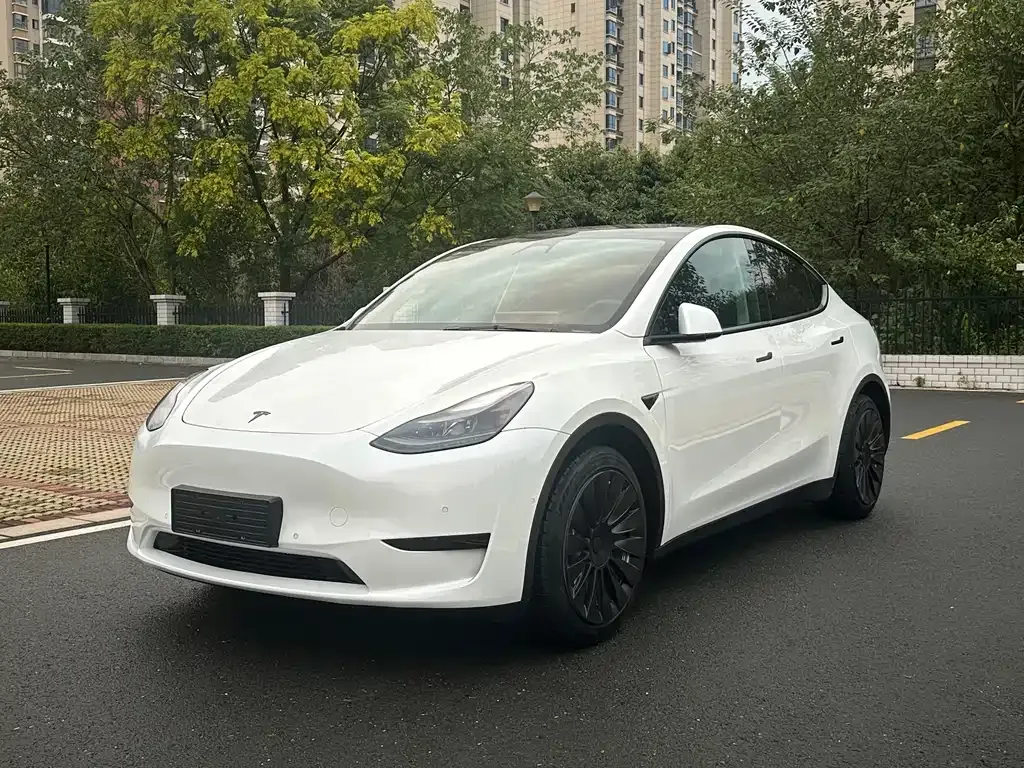 Tesla Model Y 2022 из CN, фото 1