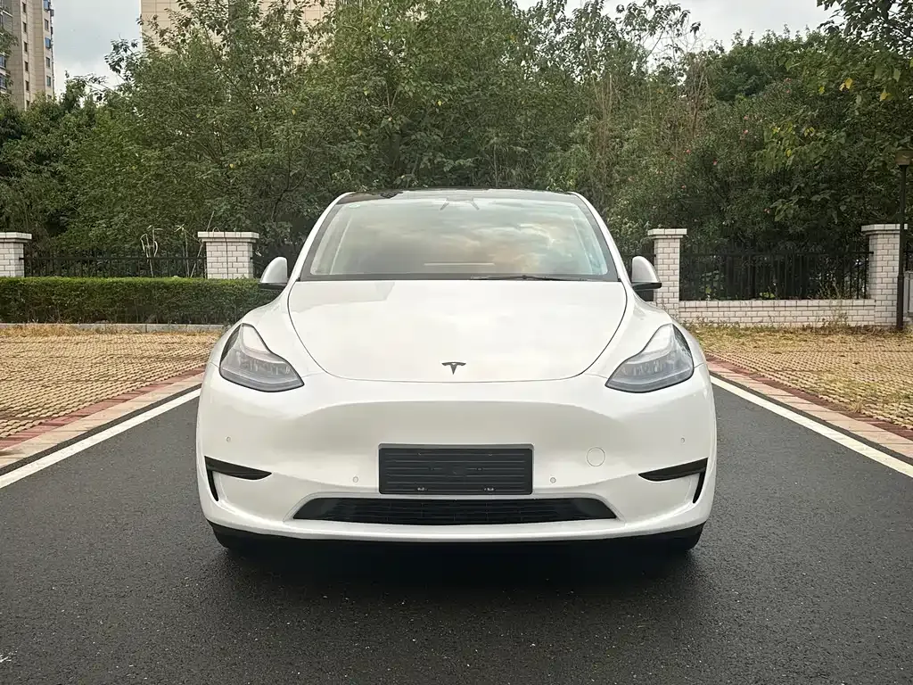 Tesla Model Y 2022 из CN, фото 2