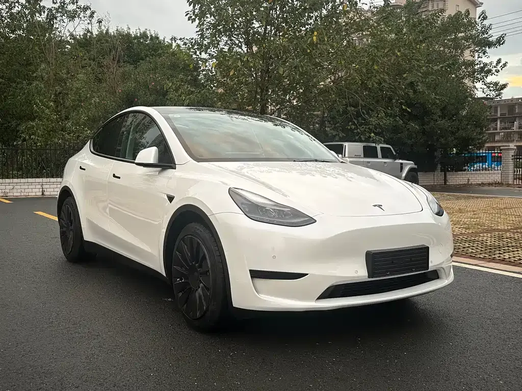 Tesla Model Y 2022 из CN, фото 3