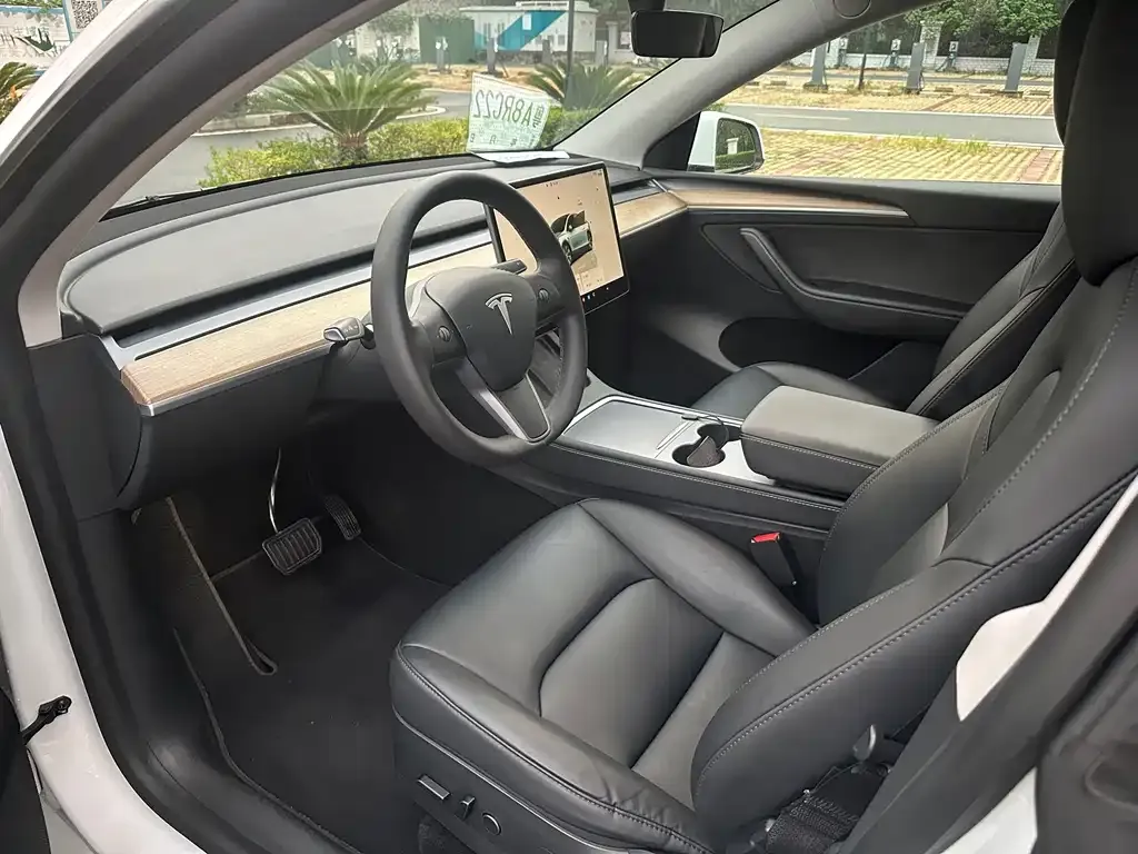 Tesla Model Y 2022 из CN, фото 4