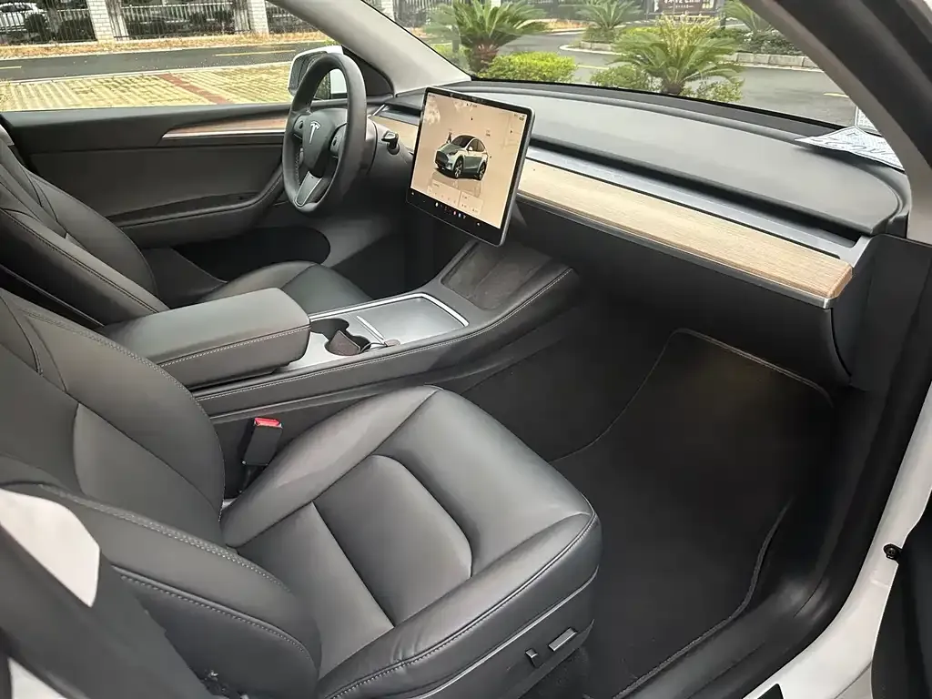 Tesla Model Y 2022 из CN, фото 6