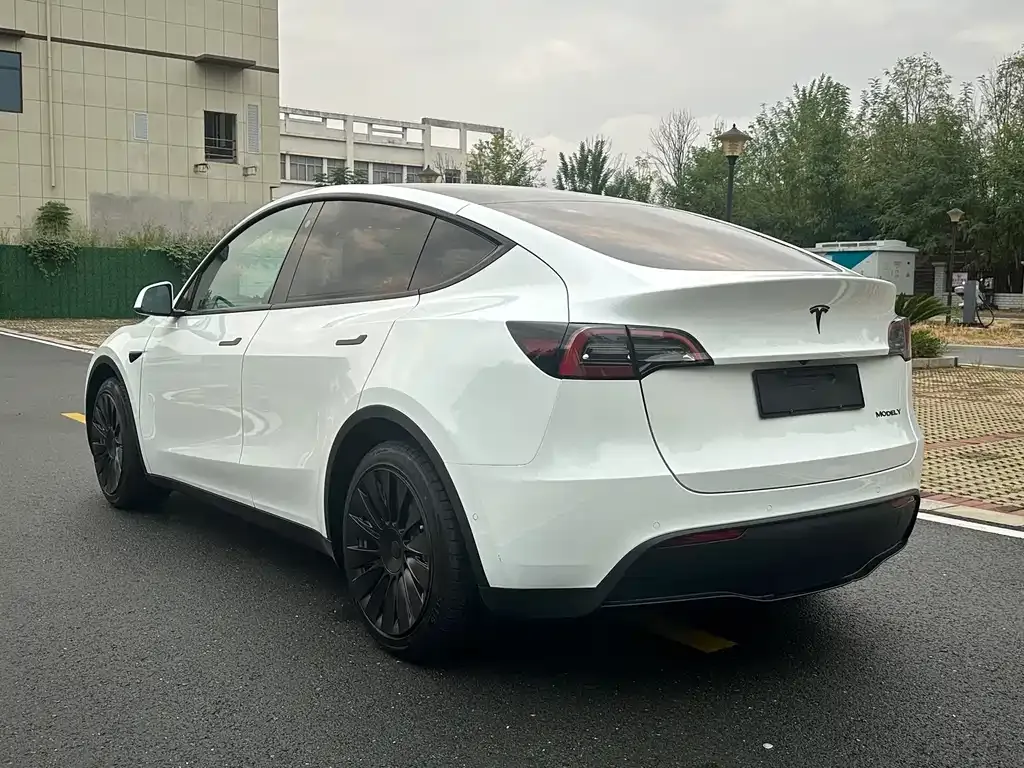 Tesla Model Y 2022 из CN, фото 7