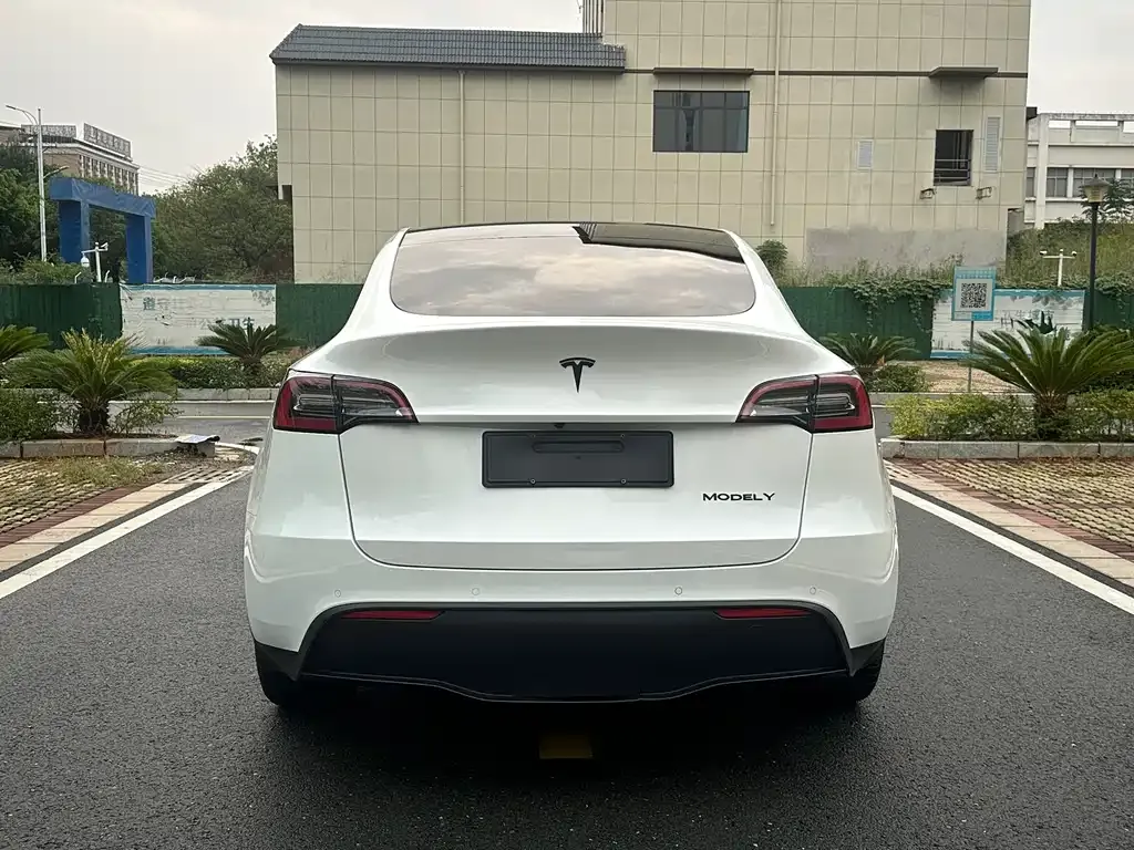 Tesla Model Y 2022 из CN, фото 8
