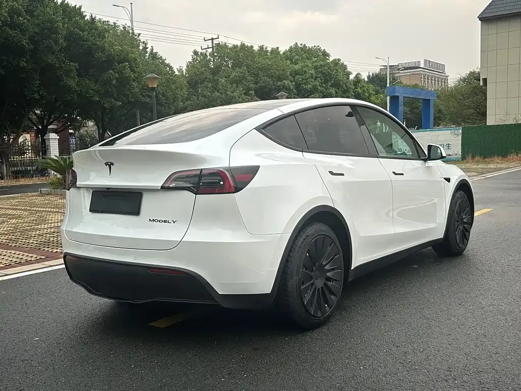 Tesla Model Y 2022 из CN, фото 9