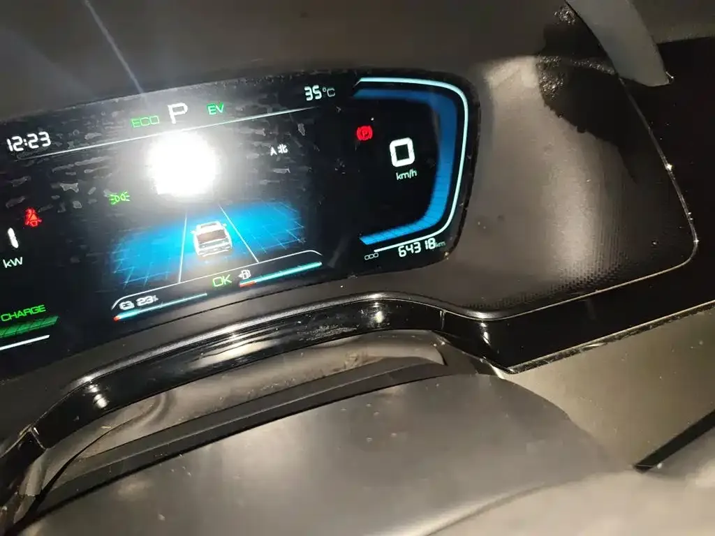 BYD Tang New Energy 2021 из CN, фото 5
