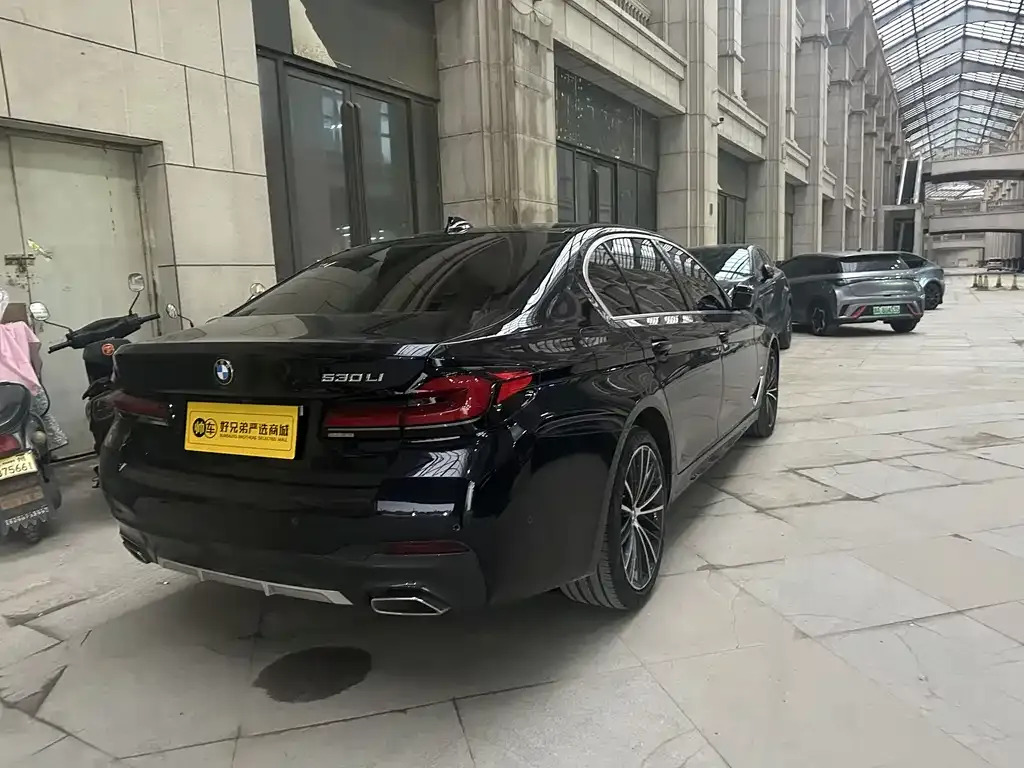 BMW 5 Series 2023 из CN, фото 3