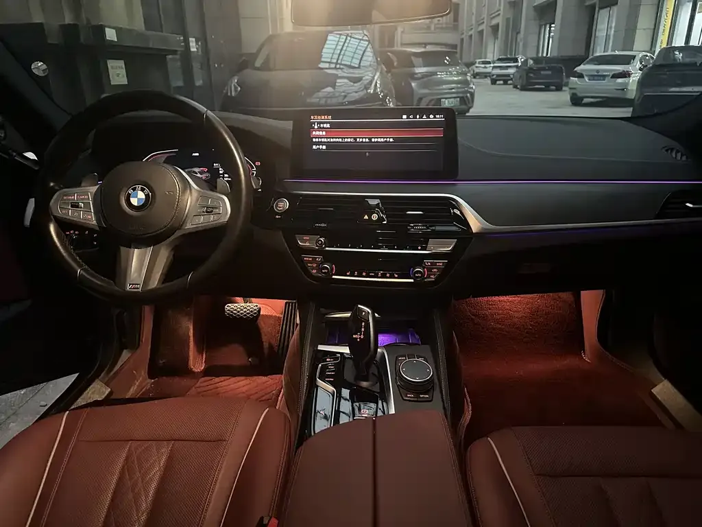 BMW 5 Series 2023 из CN, фото 6
