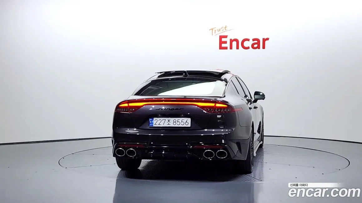 [object Object] Stinger 2021 из KR, фото 4