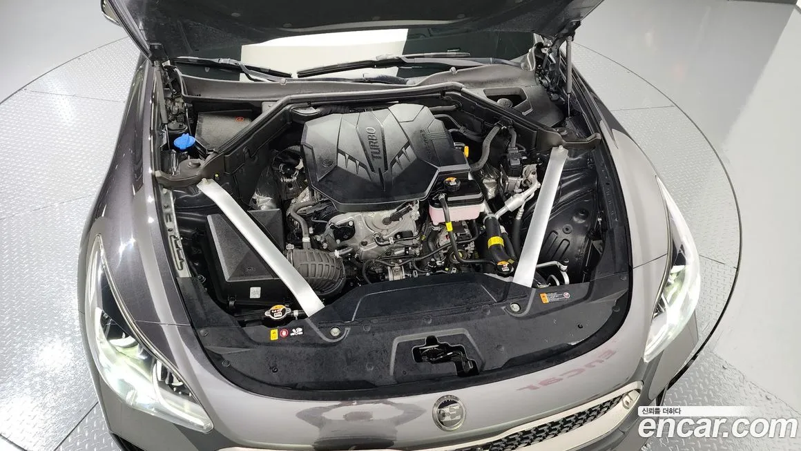 [object Object] Stinger 2021 из KR, фото 6