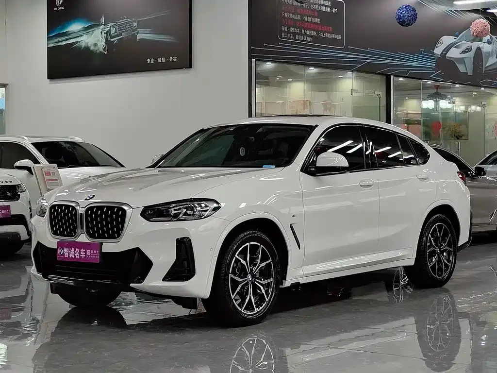 BMW X4 2023 из CN, фото 1
