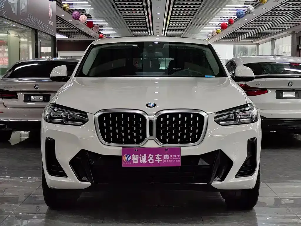 BMW X4 2023 из CN, фото 2