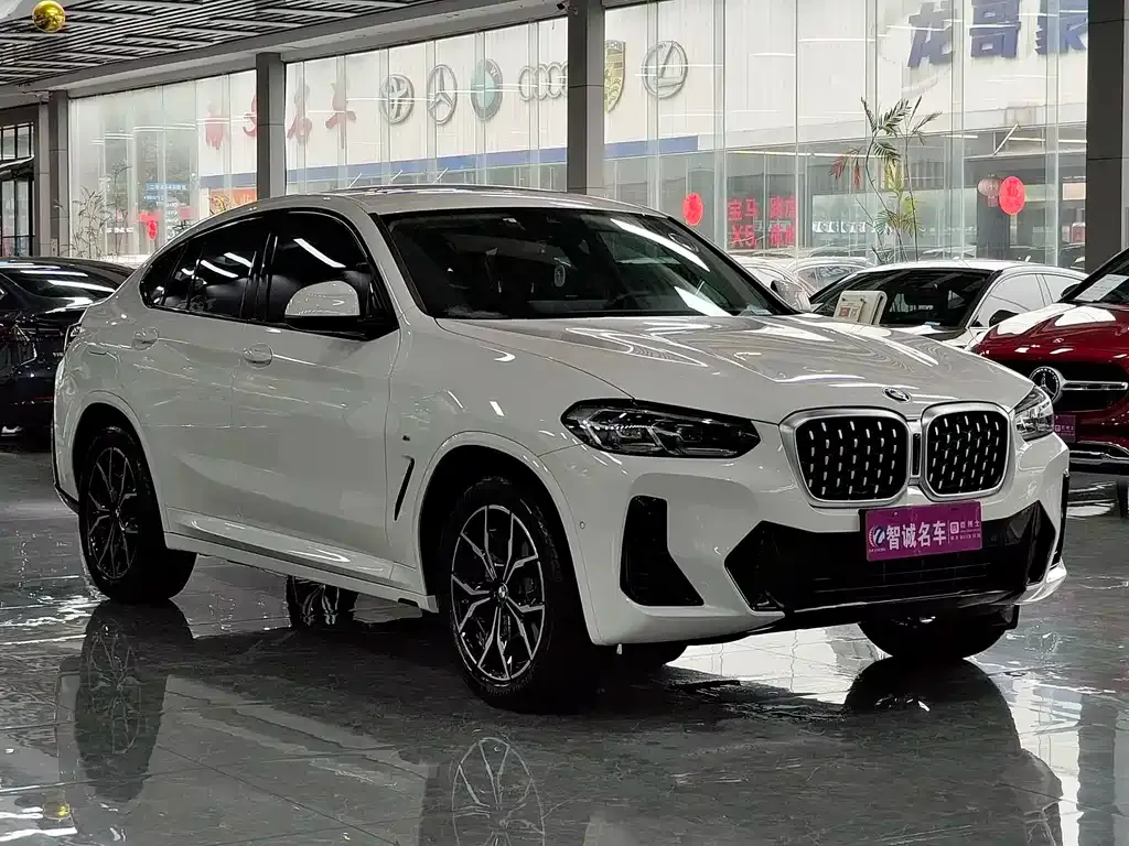BMW X4 2023 из CN, фото 3