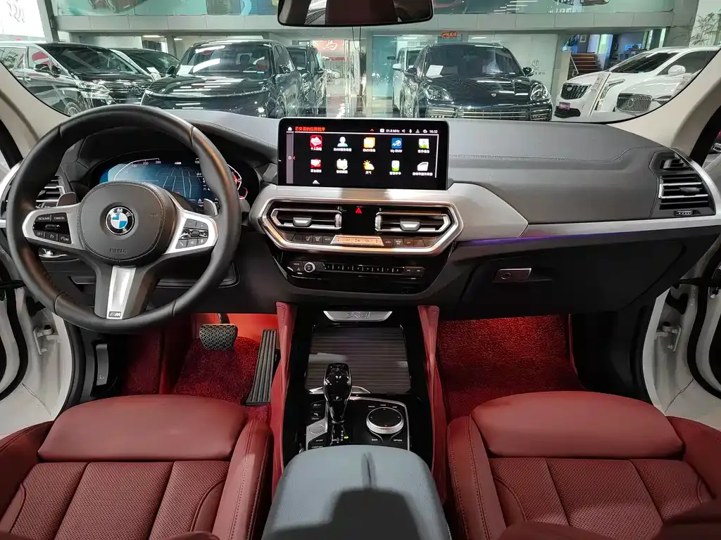 BMW X4 2023 из CN, фото 7