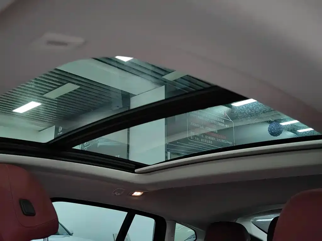 BMW X4 2023 из CN, фото 9