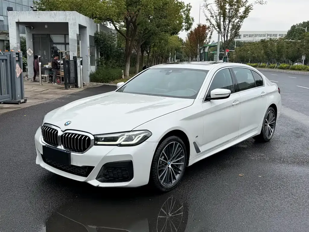BMW 5 Series 2022 из CN, фото 1