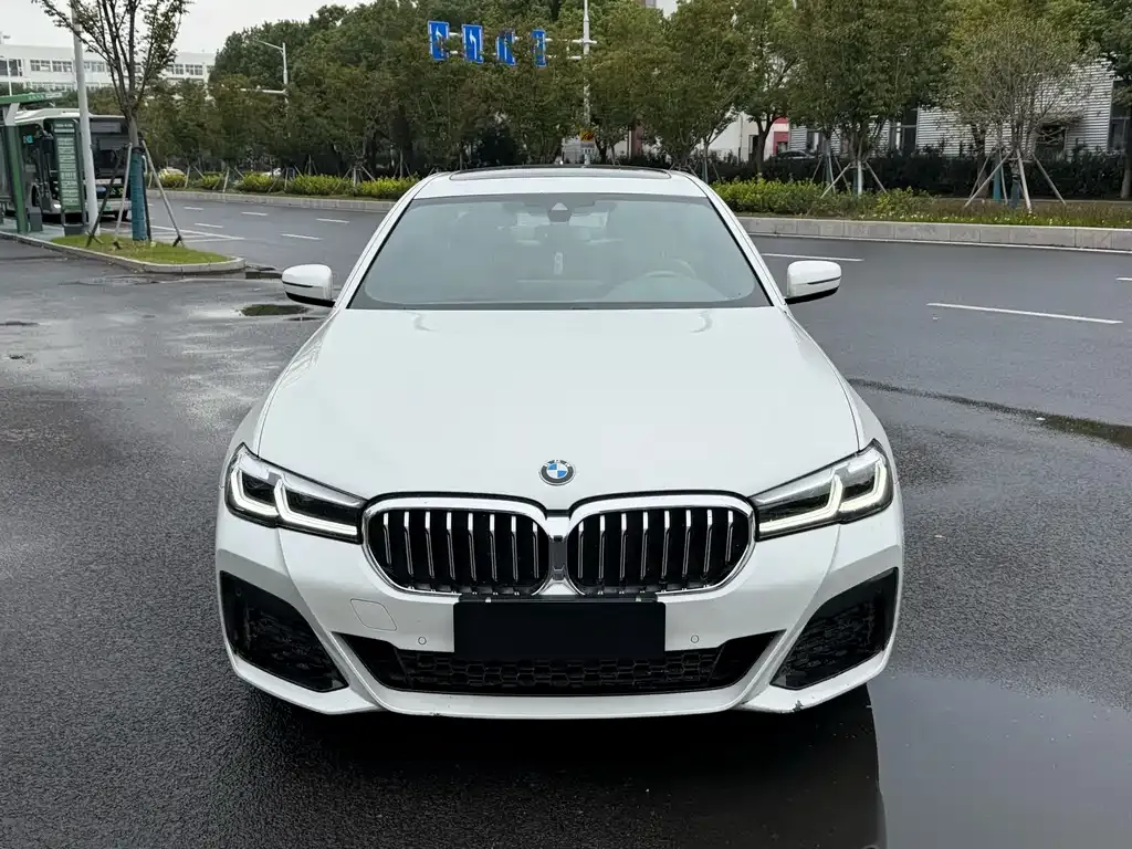 BMW 5 Series 2022 из CN, фото 2