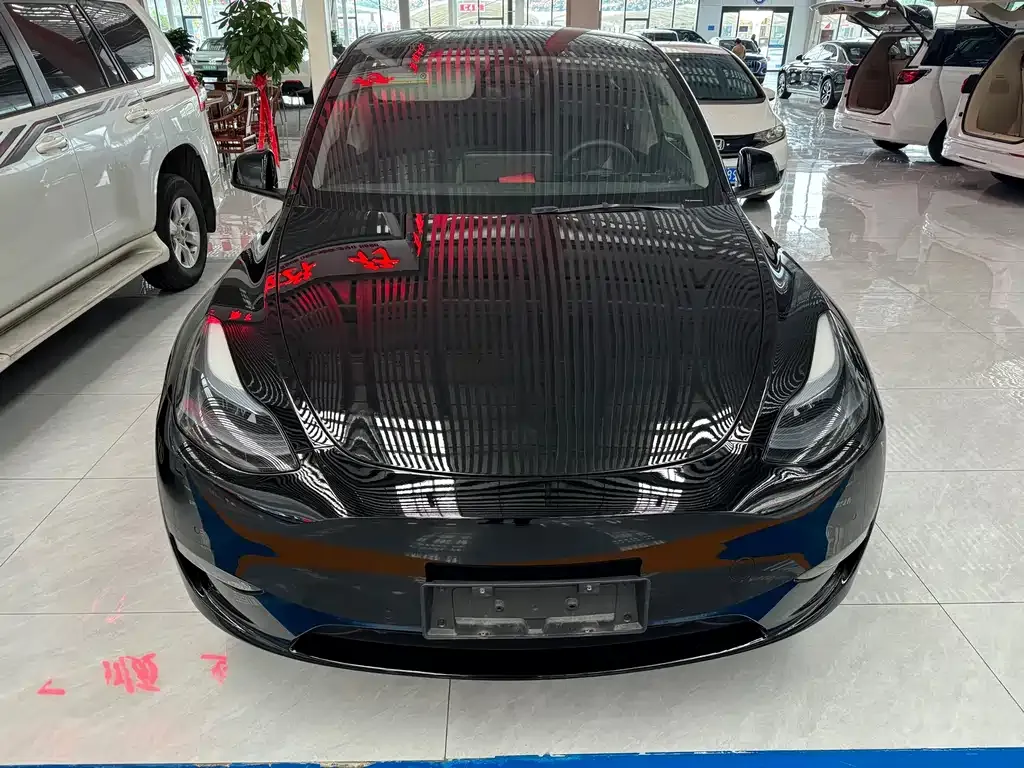 Tesla Model Y — фото 2