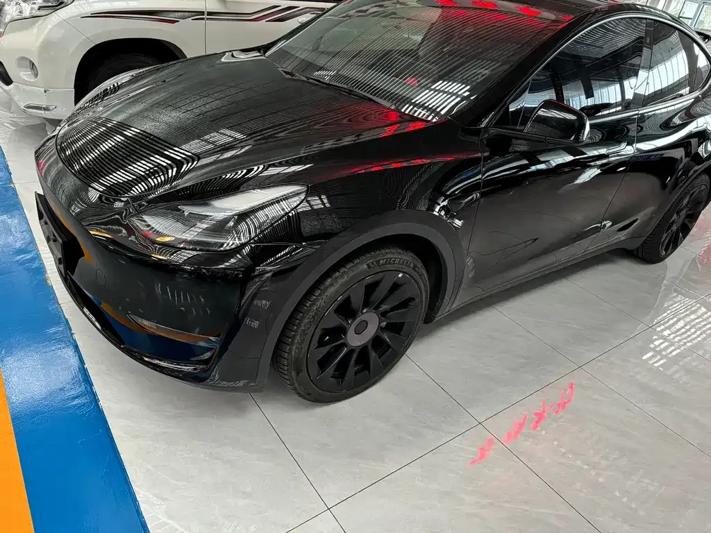 Tesla Model Y — фото 3