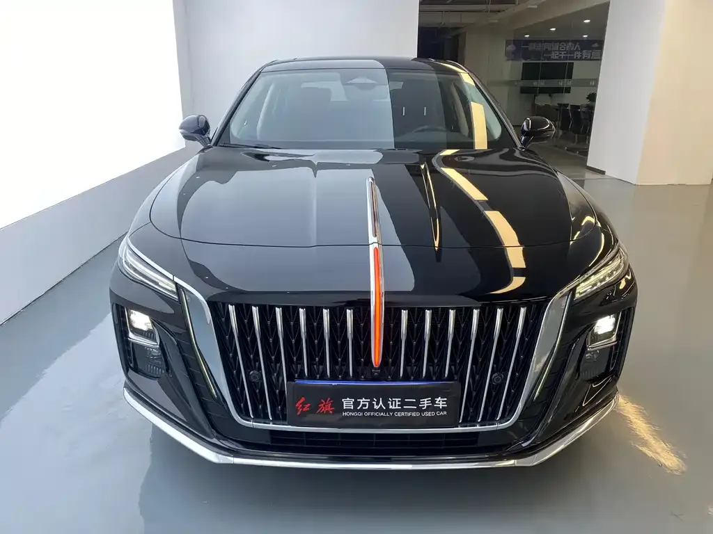 Hongqi H5 2024 из CN, фото 2