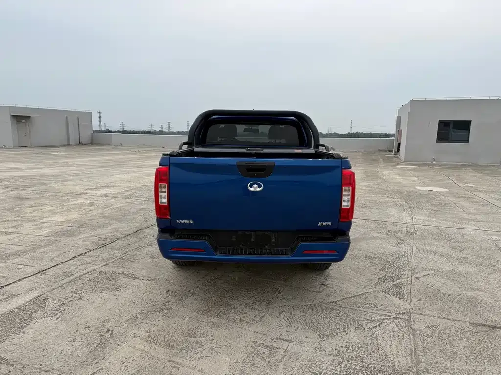 Great Wall Pao 2021 из CN, фото 8