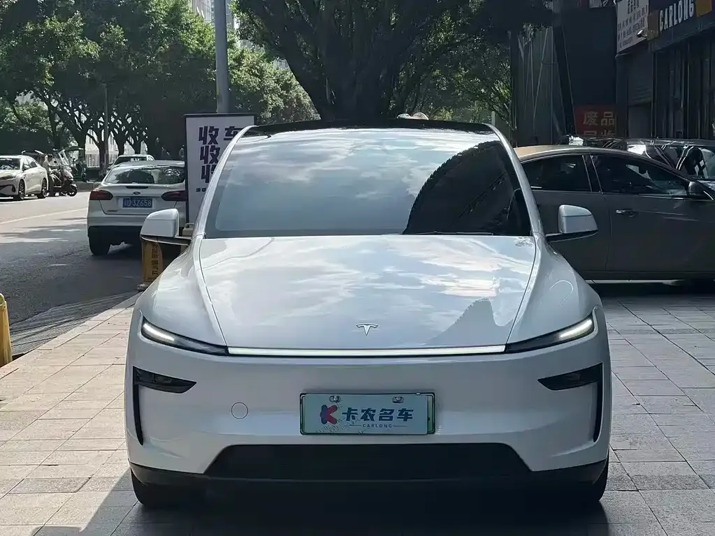Tesla Model Y — фото 2