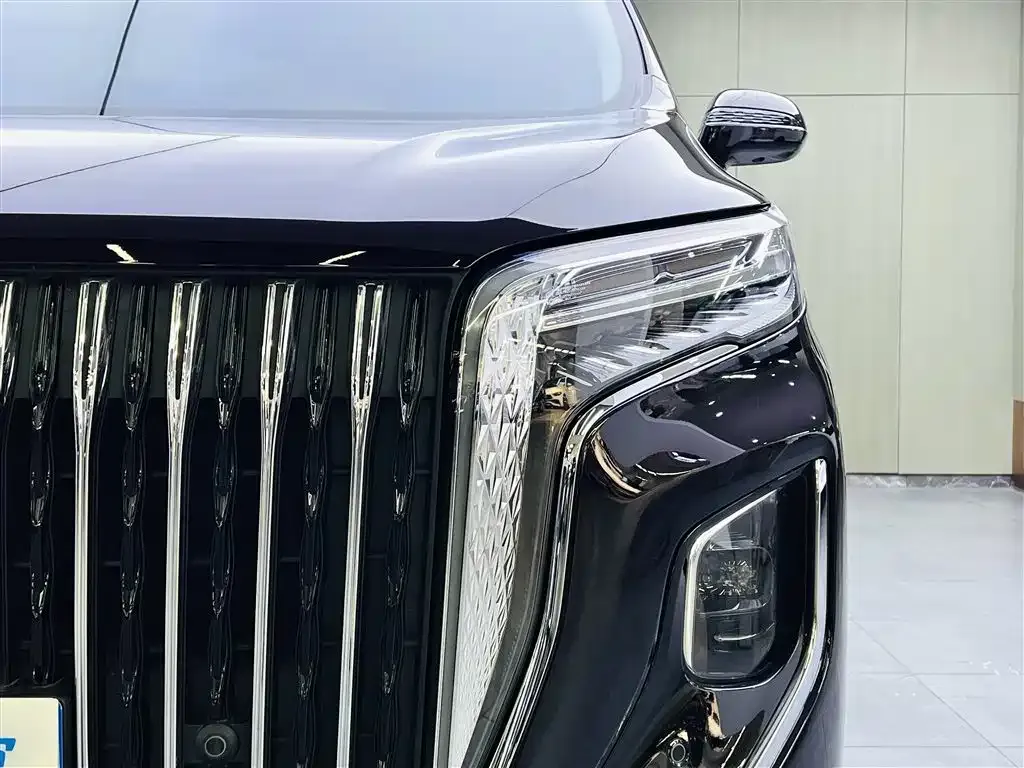 Hongqi HQ9 2023 из CN, фото 7