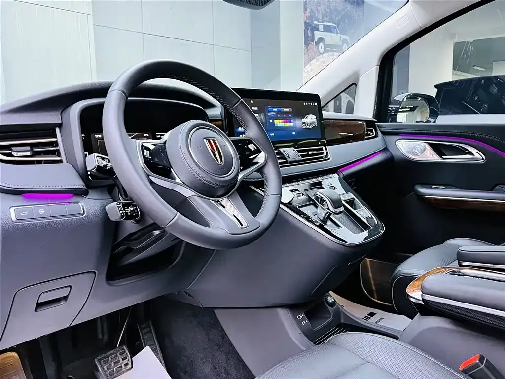 Hongqi HQ9 2023 из CN, фото 8