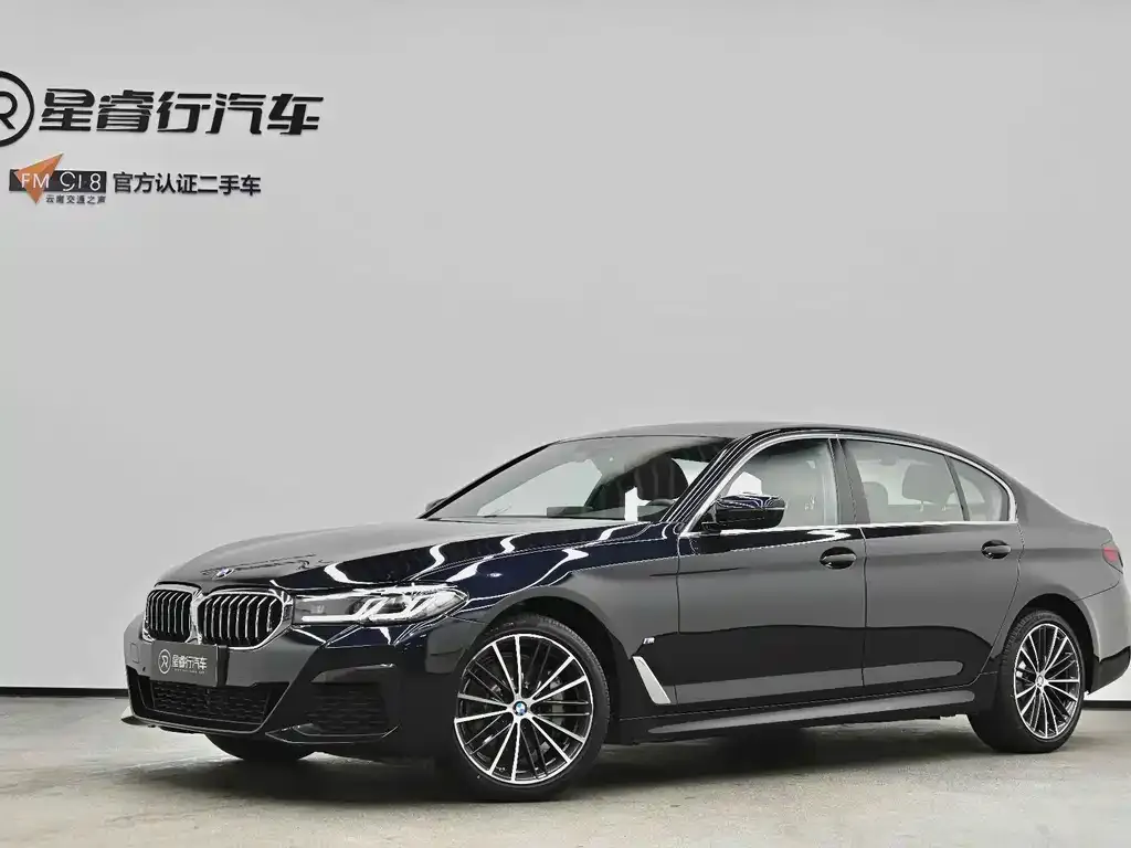 BMW 5 Series 2022 из CN, фото 1