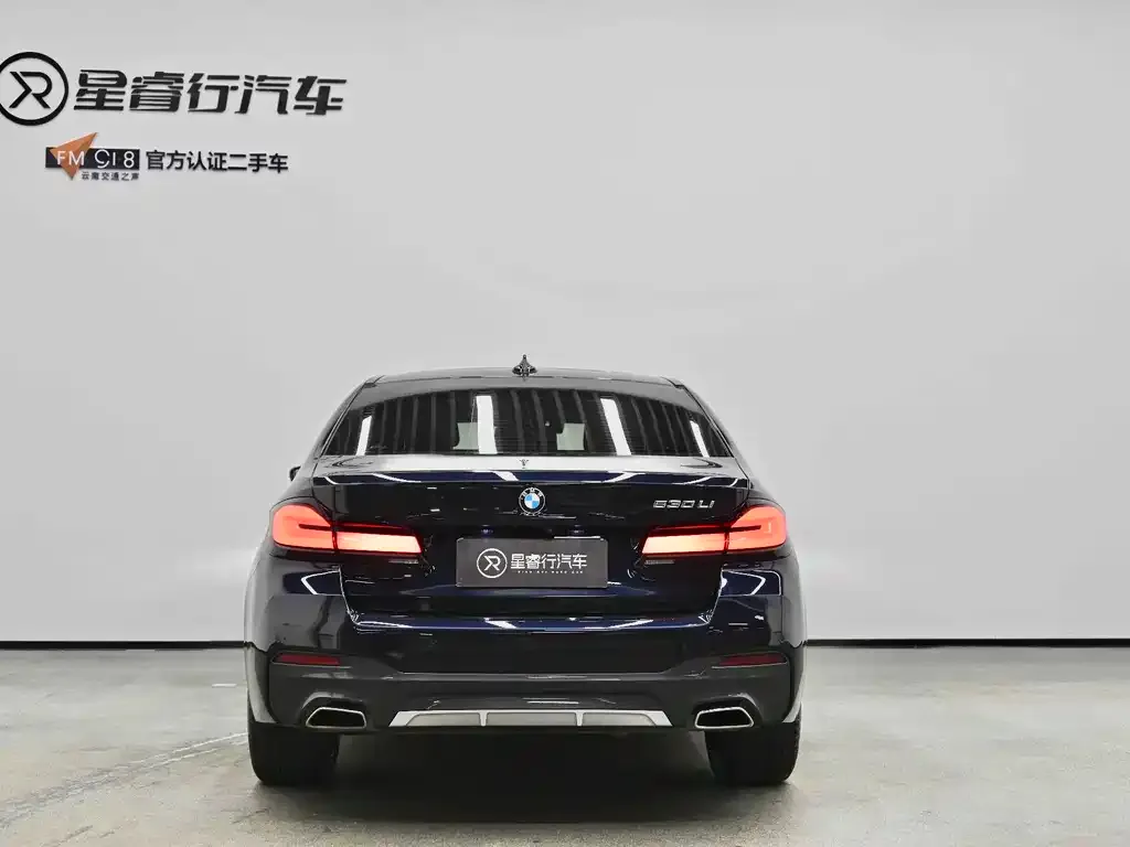BMW 5 Series 2022 из CN, фото 10
